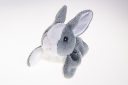 cute rabbit baby soft toyの写真素材