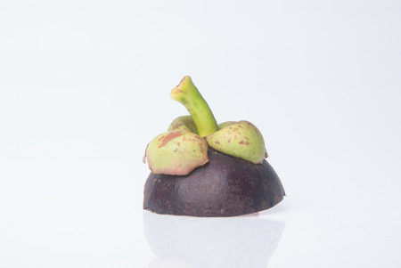 Mangosteen fruit. flesh queen of fruits.の写真素材