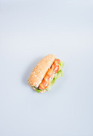 sandwich or health sandwich on the backgroundの写真素材