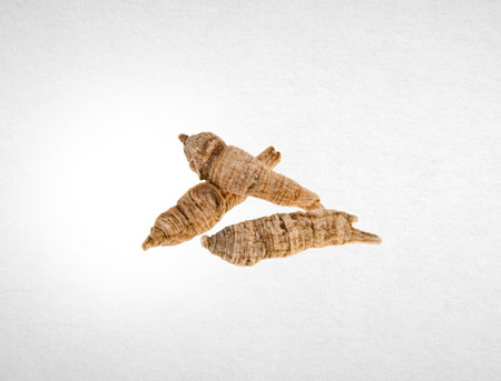 Ginseng or Dried Ginseng on a background