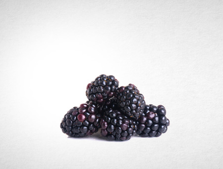 blackberries isolated on a white backgroundの写真素材