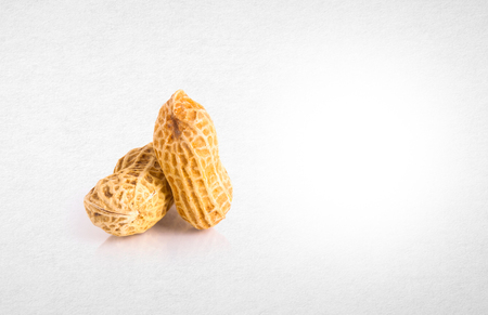 nuts on the white isolated backgroundの写真素材