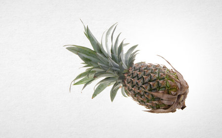 Pineapple or Pineapple tropical fruit on a backgroundの写真素材