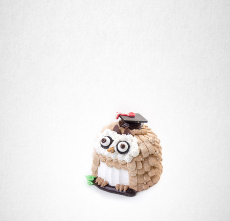 cake or ice cream cake on a backgroundの写真素材