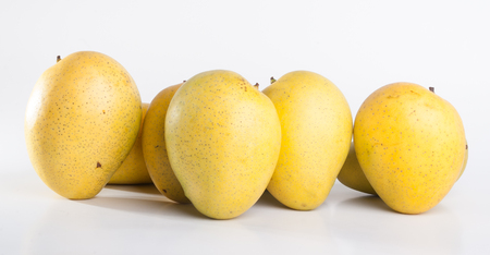 mango. sweet mango on the background.の写真素材