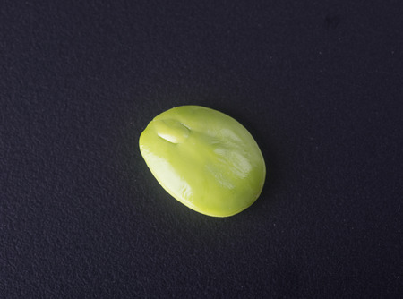 A bitter bean or 'petai' on dark backgroundの写真素材