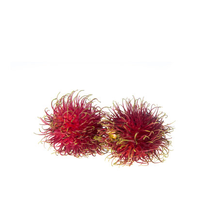Rambutan or fruit on summer on white backgroundの写真素材