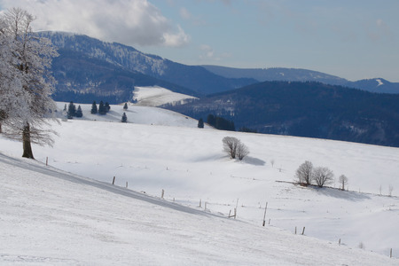 Winter landscape on the Schauinsland at Freiburg / Germanyの写真素材