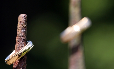 Golden wedding ring of the bridegroom stylishly arrangedの写真素材