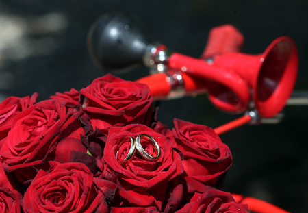 Wedding rings on red roses in a bicycle basketの写真素材