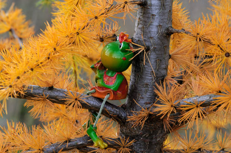 Frog Martha on Larch tree, dreaming of Christmas