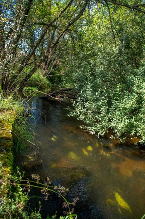 Malse is a river in Austria and in the Czech Republic, and a right tributary of the Vltava.の写真素材