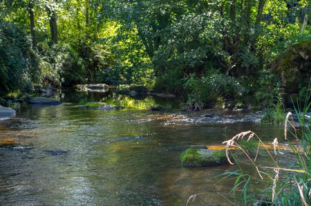 Malse is a river in Austria and in the Czech Republic, and a right tributary of the Vltava.の写真素材