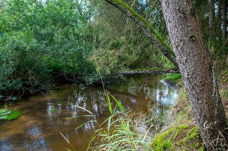 Malse is a river in Austria and in the Czech Republic, and a right tributary of the Vltava.の写真素材