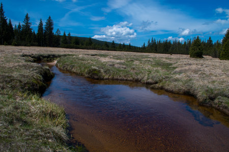 Jizera stream near to settlement Jizerka in Czech Republic