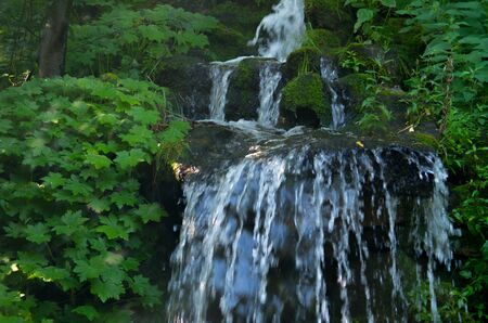 A forest waterfallの写真素材