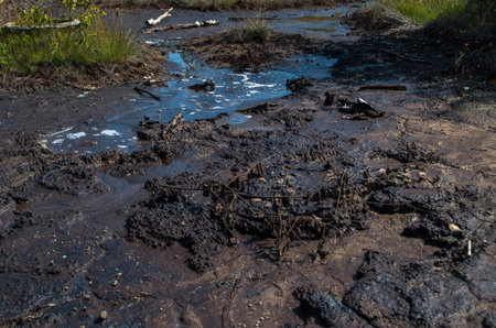 A mud volcano or mud dome is a landform created by the eruption of mud or slurries, water and gases.