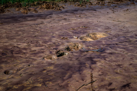 A mud volcano or mud dome is a landform created by the eruption of mud or slurries, water and gases.
