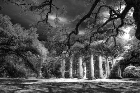Old Sheldon Church Ruins Yemassee South Carolina Low Countryの写真素材