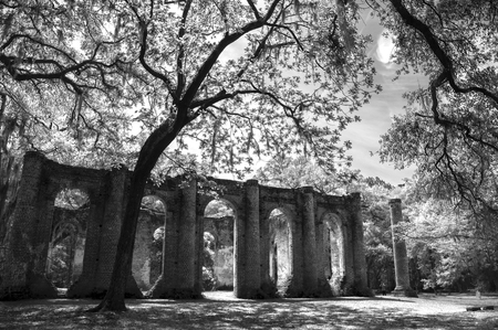 Old Sheldon Church Ruins Yemassee South Carolina Low Countryの写真素材