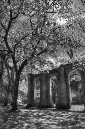 Old Sheldon Church Ruins Yemassee South Carolina Low Countryの写真素材