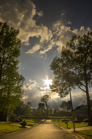 Sunlit Road Lined With Treesの写真素材