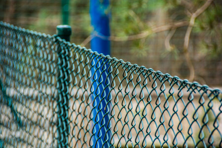 Green fence mesh