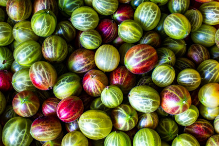 Macro view of gooseberry from above