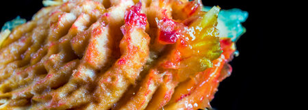 Panoramic view of the peach seeds macro on a black background