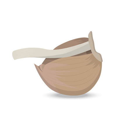 Clove of garlic with a branch of a headのイラスト素材