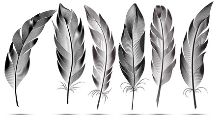 Set of black and white large fluffy feathers. Vector contour graphics. Style engravingのイラスト素材