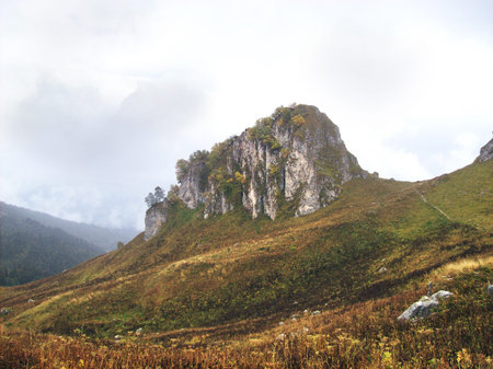 Free-standing steep rock, overgrown trees, on a plateau on the background of clouds the sky 