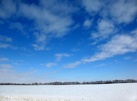 Snowy field and a blue sky with clouds.の写真素材