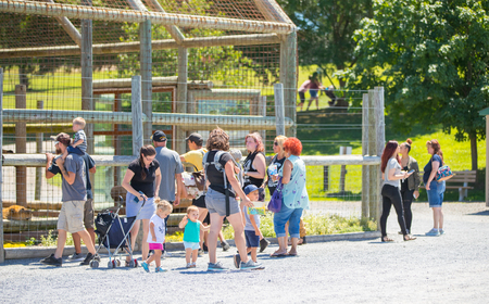 Halifax, PA July 7th, 2018: Wildlife Park Attractions Lake Tobias Wildlife Parkのeditorial素材