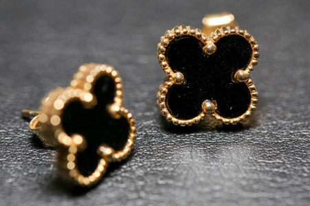 Set of fashion earrings and decorations - Image