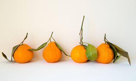 Fresh oranges with leaves isolated on white background-Imageの写真素材