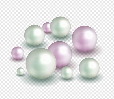 Pack nature ,sea pearl background with small and big white pearls . Vector illustrationのイラスト素材