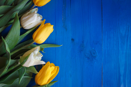 Row of tulips on blue wooden background with space for message. Women's or Mother's Day background. Top viewの写真素材