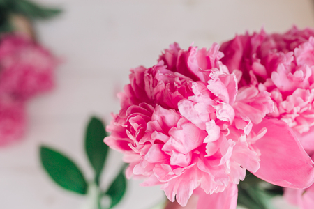 Bouquet of pink peonies on a white wooden table. Gift Valentine's Day.の写真素材