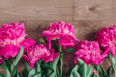 Row of peonies on wooden background with space for message. Women's or Mother's Day background.の写真素材