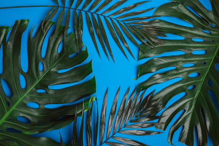 Green various tropical palm leaves on blue background. Summer creative flat lay.