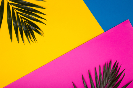 Tropical bright colorful background with exotic tropical palm leaves. Flat lay, copy spaceの写真素材