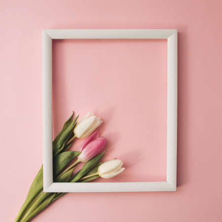 Pink and white  tulips with blank picture frame on pale rose background. Holiday postcard for Women's Day or Mother's Day or Sale concept. Floral spring background with copy space.の写真素材
