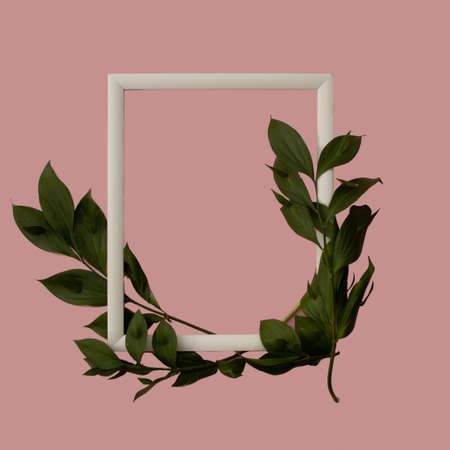 Green leaves on pale rose background with white frame. Holiday postcard for Women's Day or Mother's Day or Sale concept. Floral spring background with copy space.の写真素材