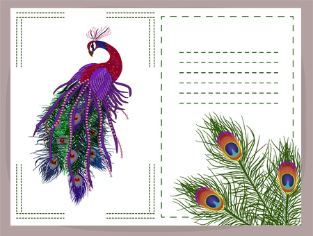 Beautiful peacock background. Peacock and feather. Vector illustration. EPS 10のイラスト素材