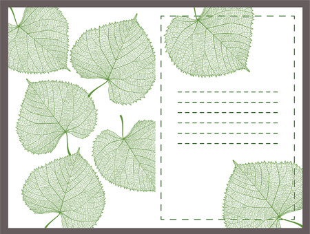 Beautiful background with leaf and space for text. Vector illustration. EPS 10のイラスト素材