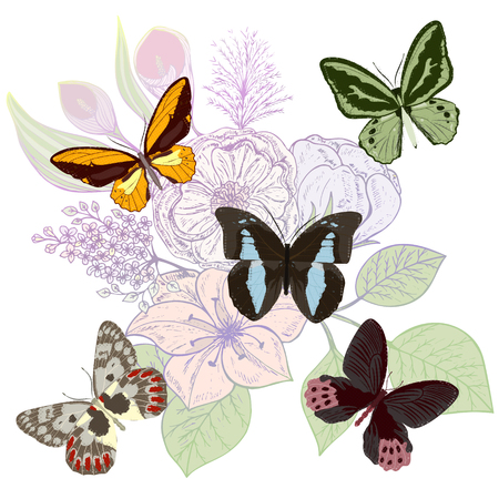 Beautiful background with flowers and butterflies. Vector illustration. EPS 10.のイラスト素材