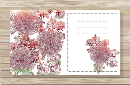 Beautiful background with flowers Chrysanthemum and space for text. Vector illustration.のイラスト素材