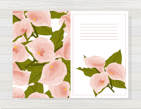 Beautiful background with calla flowers and space for text vector illustration.のイラスト素材