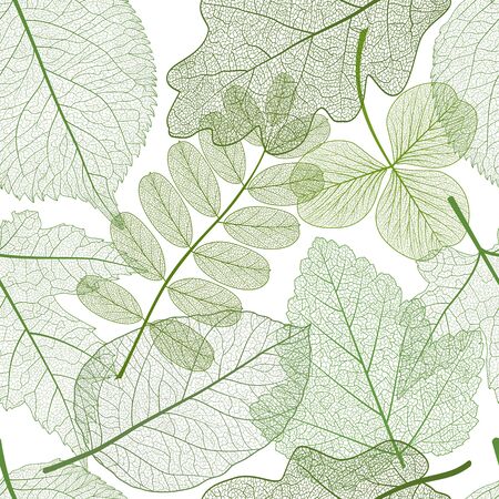 Seamless pattern with leaves.のイラスト素材